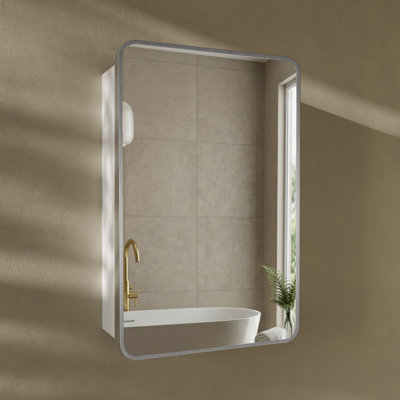 Pierre 20 X 30 Rectangle Recessed/Wall Mount Medicine Medicine Cabinet With Mirror