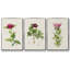 «Pretty Pink Botanicals II», ensemble de 3 toiles encadrées-97710936-97710934