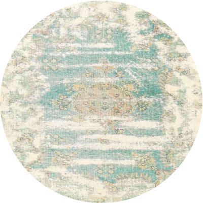 Oriental Indoor Rug