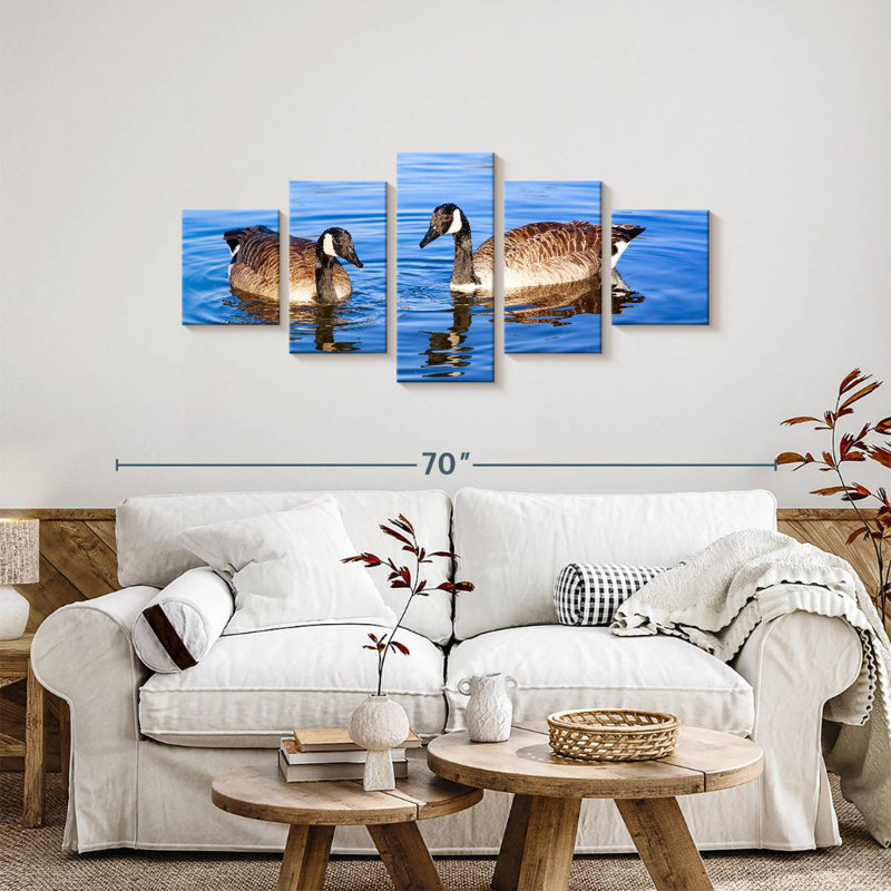 Two Geese In A Pond