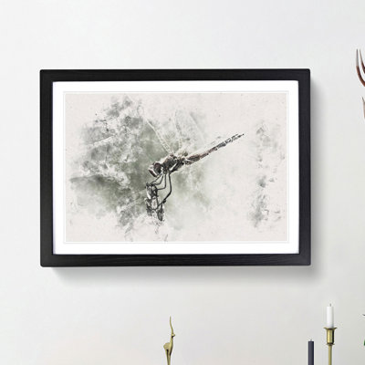 Perched Dragonfly - Framed Print