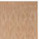 Ajacia Natural Indoor/Outdoor Area Rug