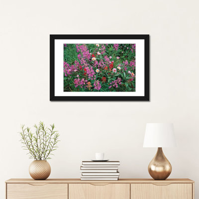 " Fireweed Asters And Paintbrush, North America " by Tim Fitzharris
