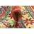 4x6 Pascoe Red Rug