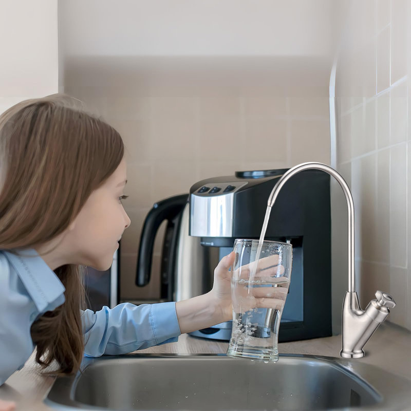 Eqloo Kitchen Faucet with Soap Dispenser