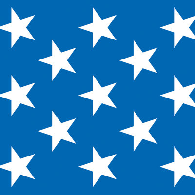 Patriotic Stars Backdrop