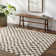 Theia Oriental Area Rug