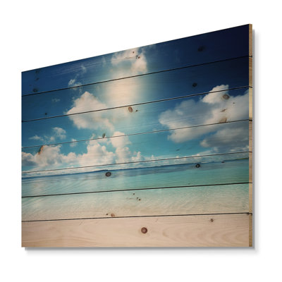 Nicholes - Beach Wood Wall Decor Panels