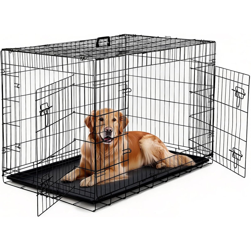 Dog House