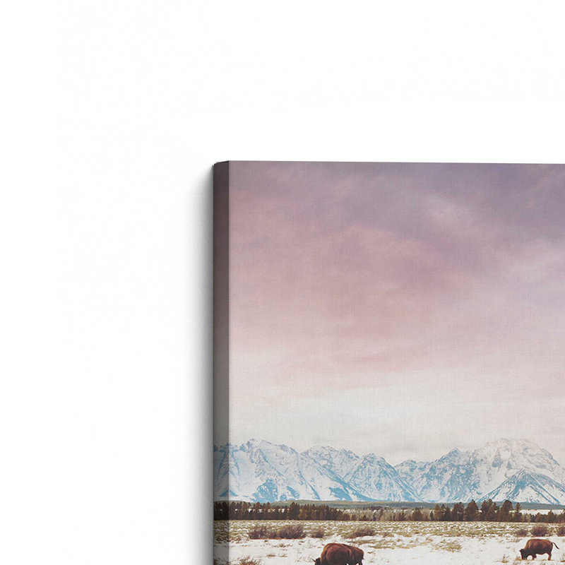 Winter Plains Bis, H 12 po x l 18 po, Toile tendue, Ne s’applique pas