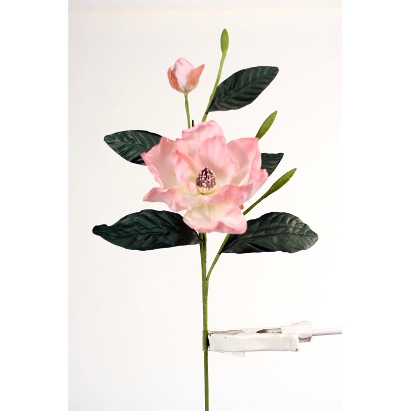 Magnolia Arrangement