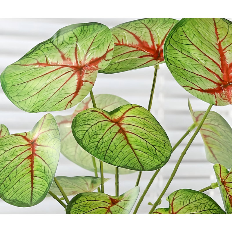 10,24 po plante artificielle