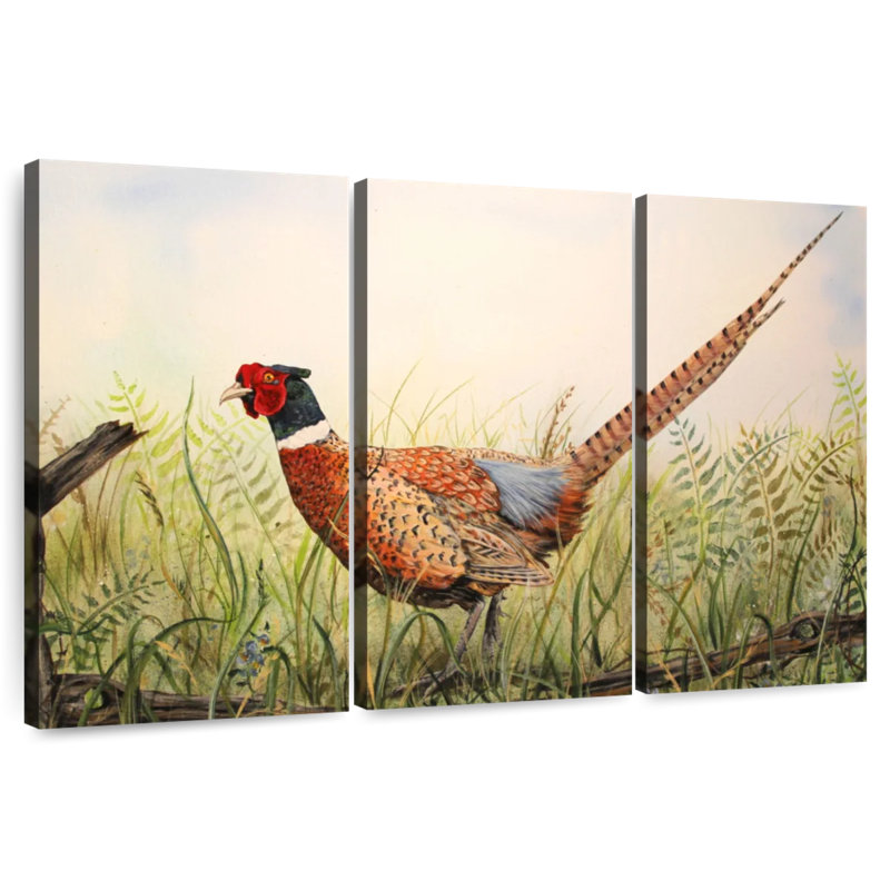 Brampt Glorious Pheasant, H 28 po x l 45 po