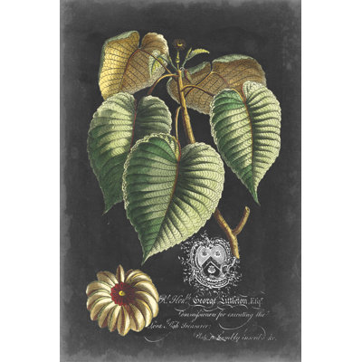" Royal Foliage I "