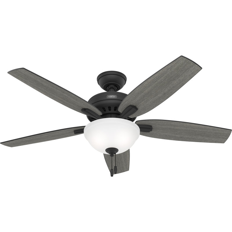 52" Newsome 5 - Blade Standard Ceiling Fan with Pull Chain and Light Kit Included, Matte Black