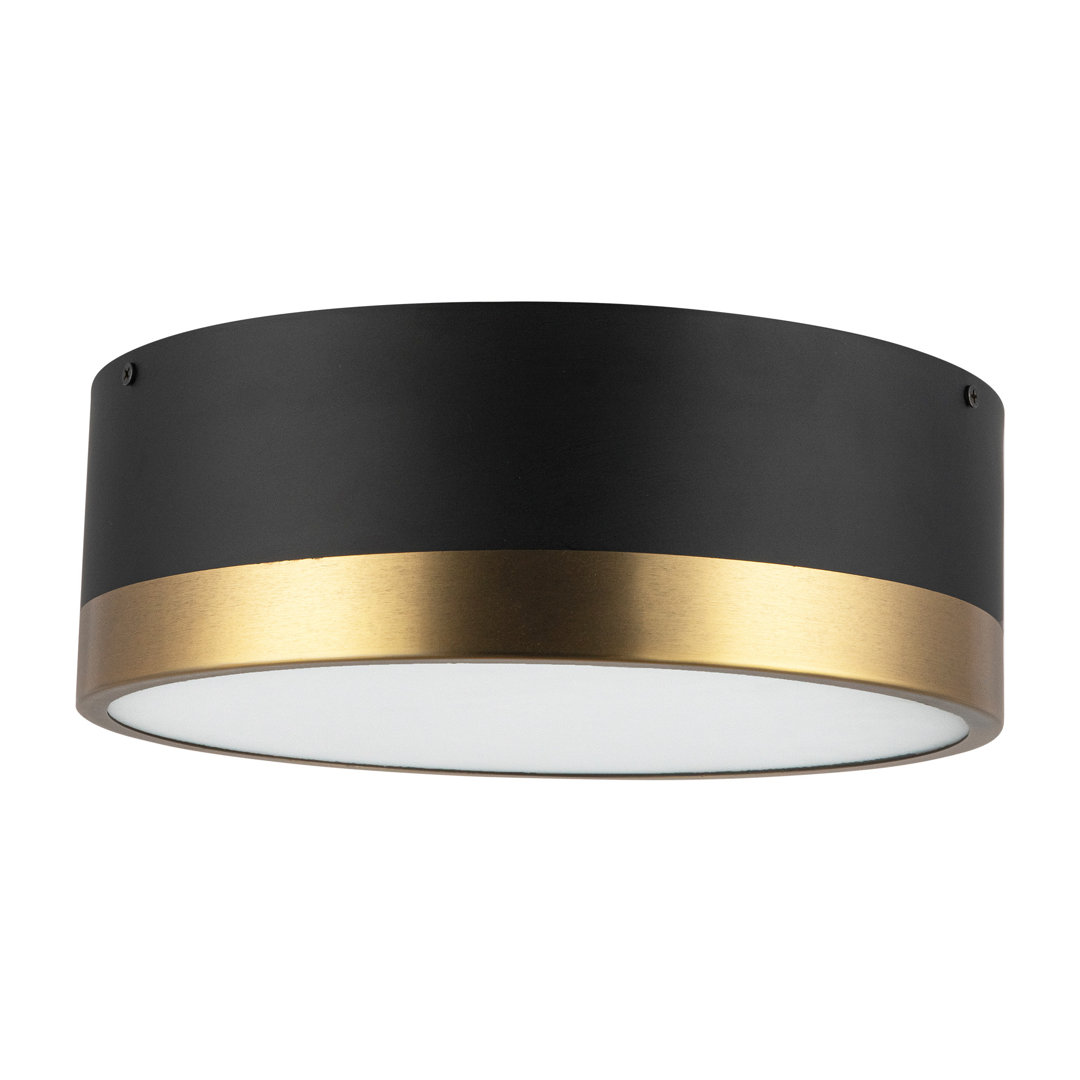 Mossy Flush Mount Joss & Main Fixture 