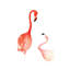 Flamingo by Rongrong DeVoe - Painting on Canvas-42157030-101409808