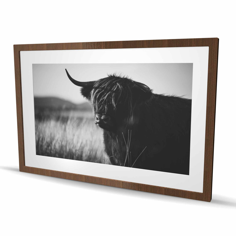 Magnifique imprimé monochrome de vache Highland | Décoration intérieure encadrée, H 36 po x l 24 po