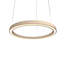 1 - Light Chandelier-68925436-69150372