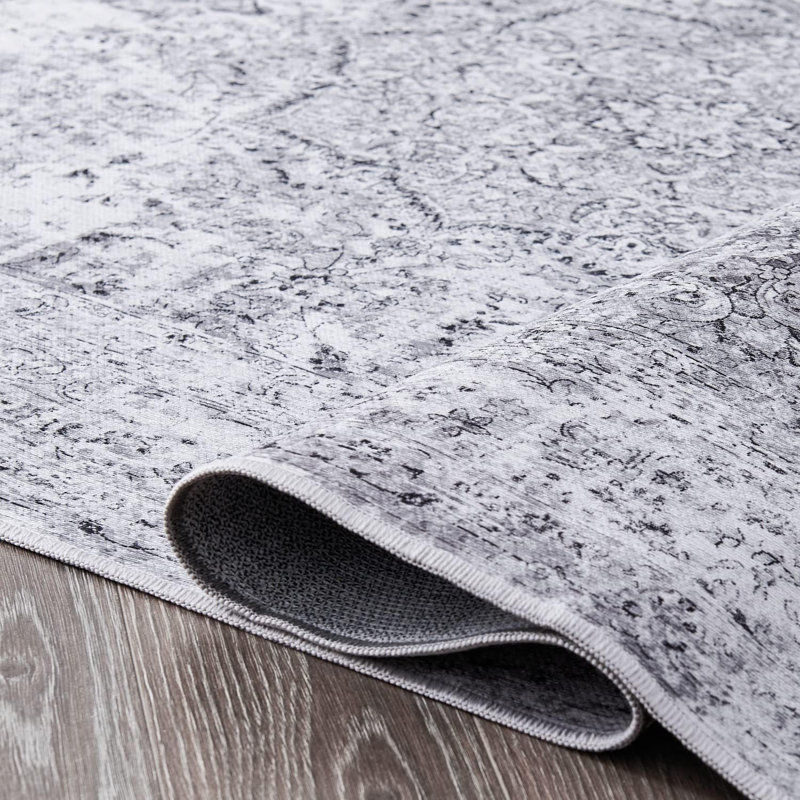 Tapis d'intérieur lavable Pasiak Chenille Mashine, Tapis de couloir de 2 pi x 7 pi
