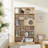 Cat-Friendly Furniture Style Bookcase & Cat Tree Shelves