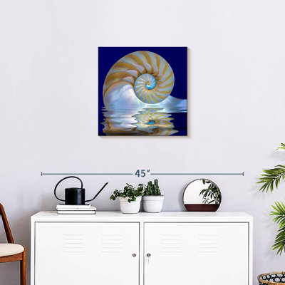 Aletra Nautilus sur l'eau