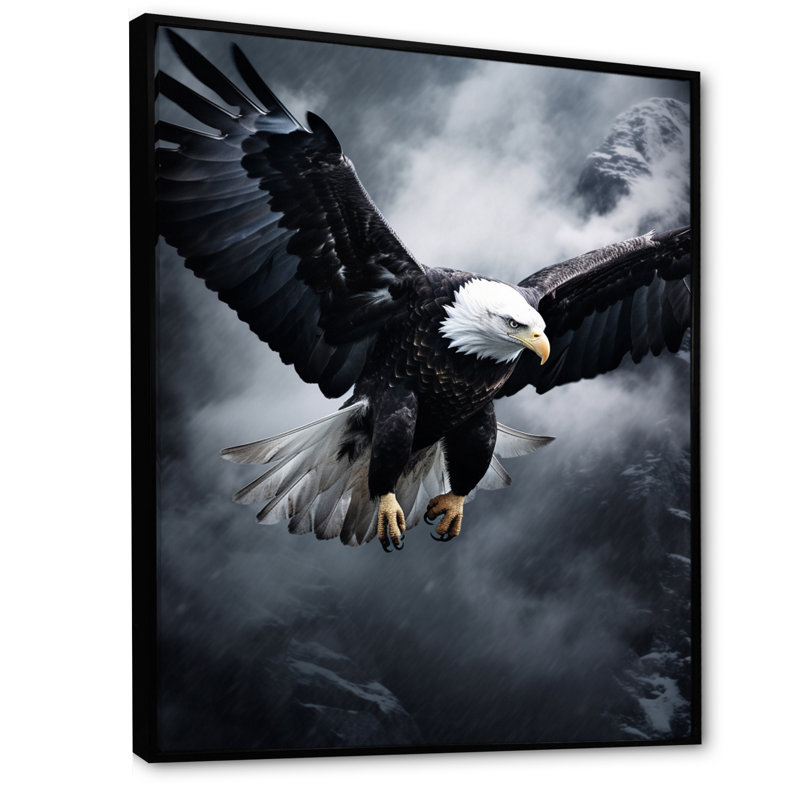 Ealge Graceful Soar Eagle - Eagle Canvas Print, 20" H x 12" W x 1" D, Black Floater Framed