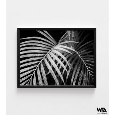 Palm Fronds By Debra Van Swearingen, Fronds Natural Artwork, Mother In Law Anniversary Gift Idea, Cousins Housewarming Gift