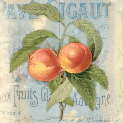 Vintage Fruit I - Wrapped Canvas Painting