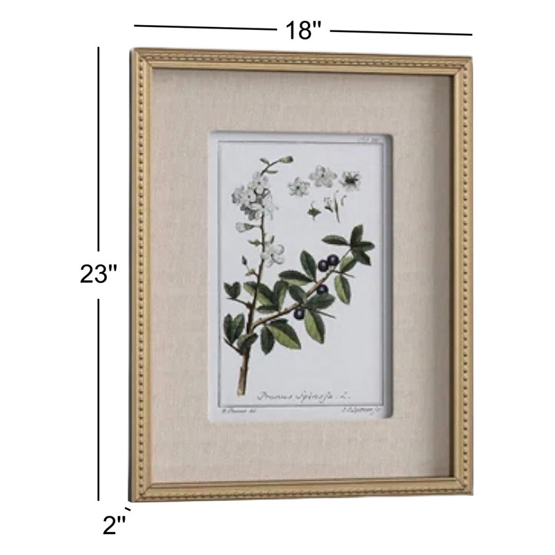 "Green Floral Botanical Study" - 6 Piece Art Set