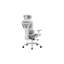 Elite Mesh Grey/White Office Chair
