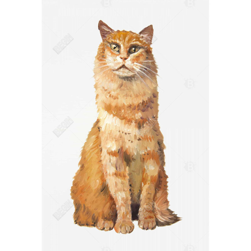 «Ginger Cat»