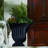 Urn Planter-752779198