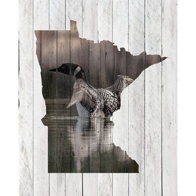 Huard du Minnesota vieilli