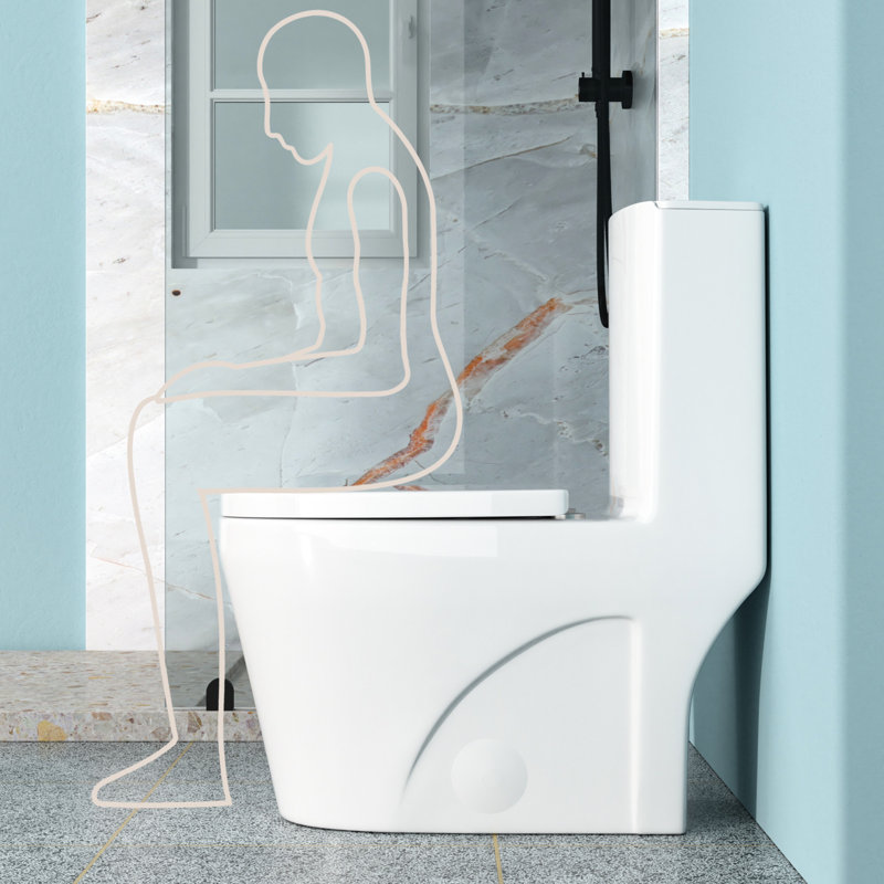 Ceramic One Piece Bathroom Toilet, 12-Inch Rough-In, 1.24/1.6 Dual Flush, Seat, 800G Map Skirted Design For Low Maintenance, Quick-Release Hinge, Structure Toilet With Pp Cleaner Look, Build