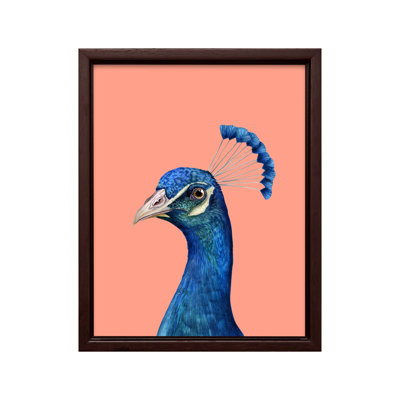 Portrait de paon