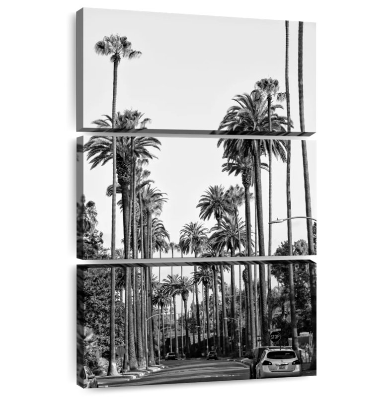 Sirci Black, Californie, Los Angeles, centre-ville I, H 74 po x l 48 po