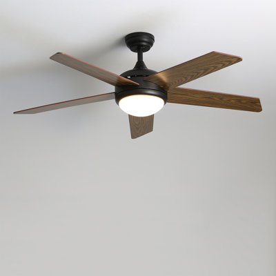 Ceiling Fan with LED Lights