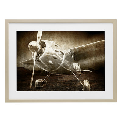 Taking Flight Vintage Framed Print Under Glass, design by Kim Allen