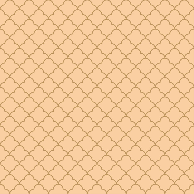 Rouleau de papier peint Delauter Morrocan, L 10,5 po x l 24 po, Orange