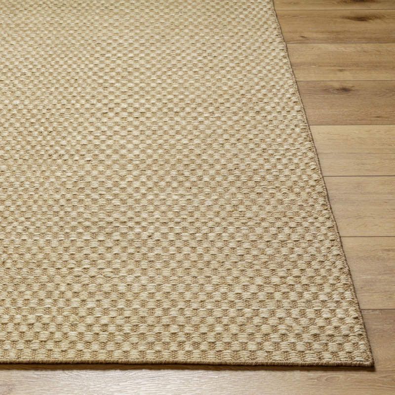 Bolton Checkered Area Rug in Tan, Rectangle 2' x 3'