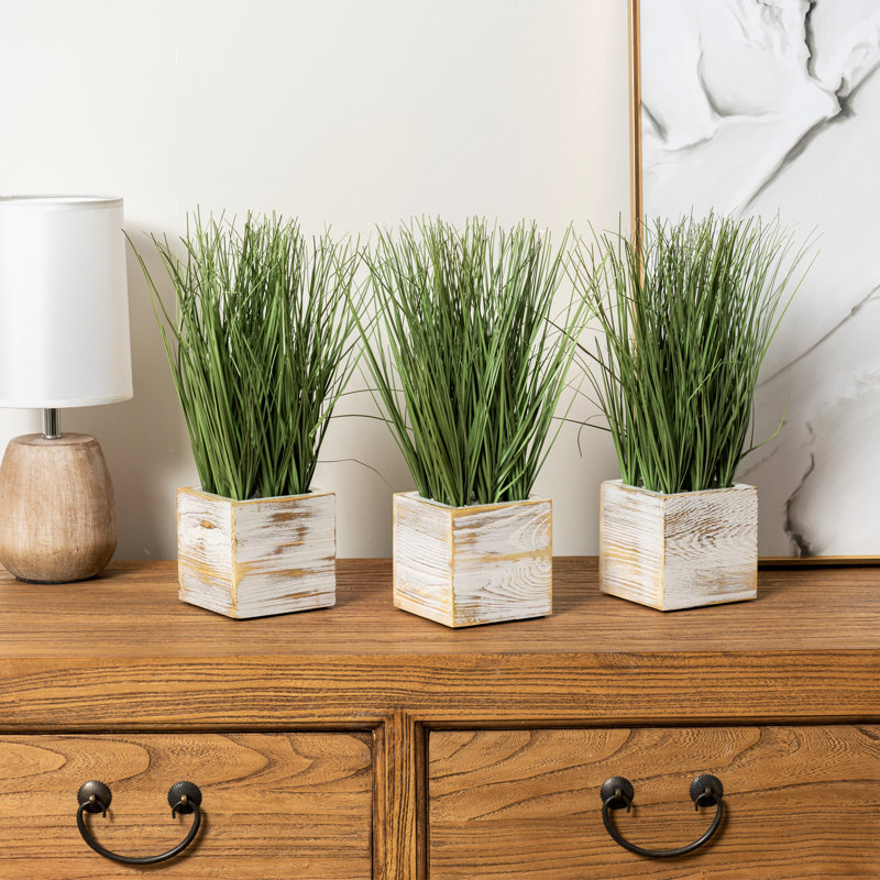 34 cm H Faux Onion Grass Plant in Solid Wood Pot