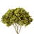 Natural Botanicals 15" Hydrangea with Multiple Branch Segments, Preserved-1594274023
