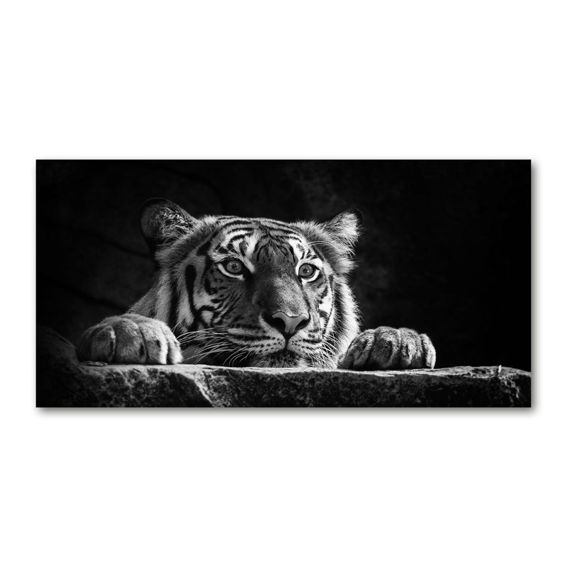 50cm W x 100cm L Glass Peel and Stick Panel