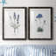 Lavande - ensemble de 2 reproductions d'impressions-484035940-484035728-467967548
