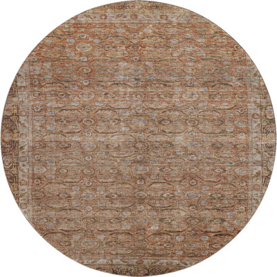 Premium Machine Washable Lubbers AMF1762 Border Rug