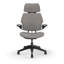 Freedom Headrest Ergonomic Task Chair - Autumn-1376687735
