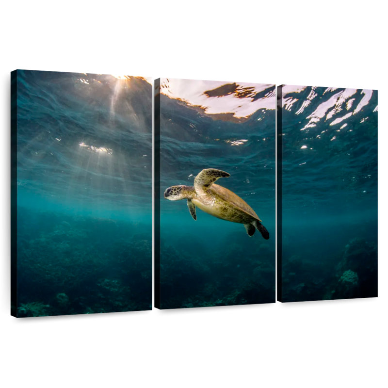 Ningaloo Reef Sea Turtle, 24" H x 38" W