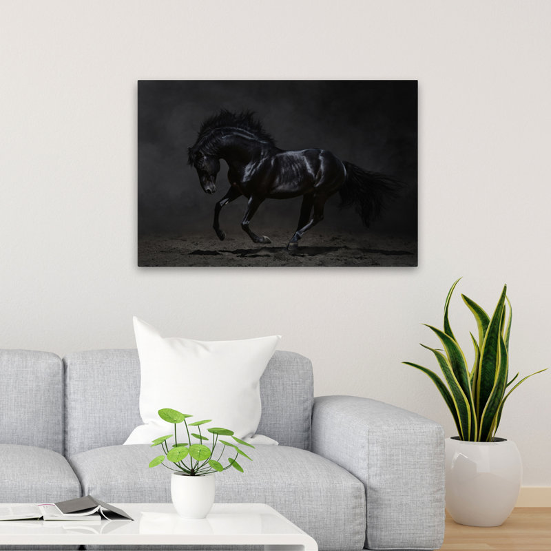 Onyx - photographie, animaux, chevaux, art, H 24 po x l 36 po