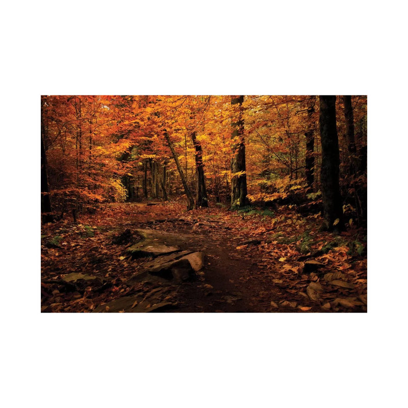 Autumn Path by Natalie Mikaels - Print on Canvas, 101.6 cm H x 66.04 cm W x 1.91 cm D, Wrapped Canvas